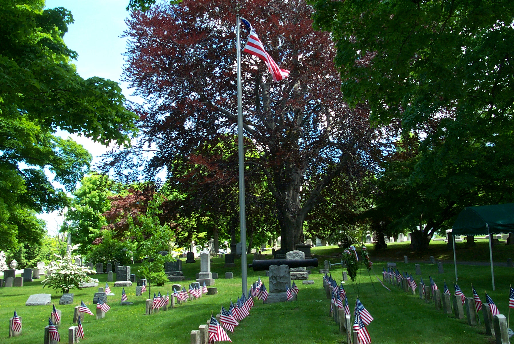 Cemetery 175